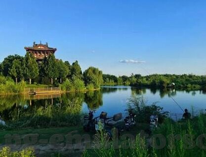 360zbz足球比分-360zbz足球比分，足球迷的实时数据宝库与观赛指南