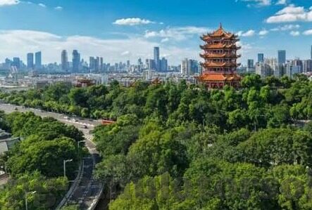 西乙足球比分直播-西乙足球比分直播，绿茵烽火实时燃，球迷激情永相伴