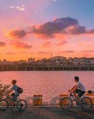足球身价比分-足球身价与比分，虚幻数字背后的赛场风云